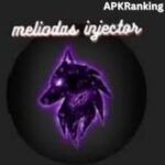 Meliodas Injector